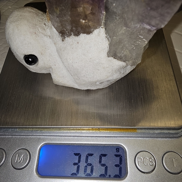 Amethyst 🐢Turtle! 365 grams, 9 x 9 cm (approx.) from head to end of Amethyst🐢 - Picture 17 of 17